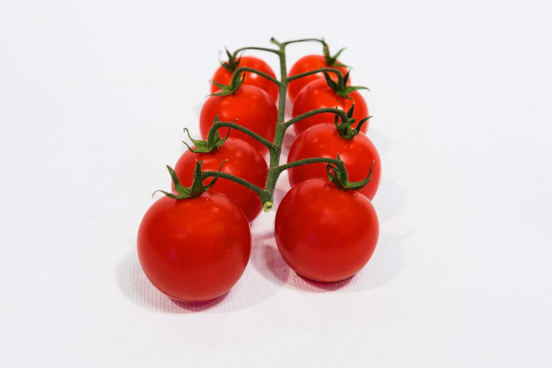 Tomate Cerise Grappe Primafel